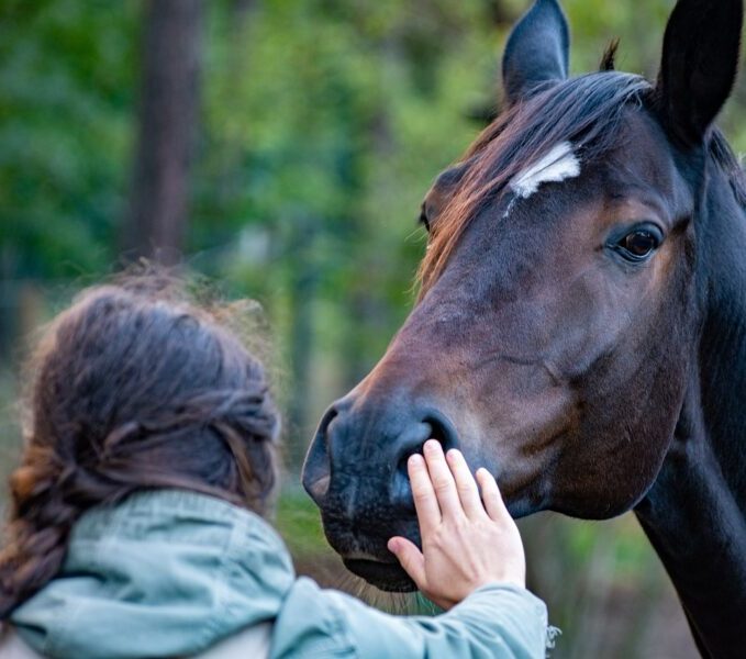 Horse, Hand, Friendship.